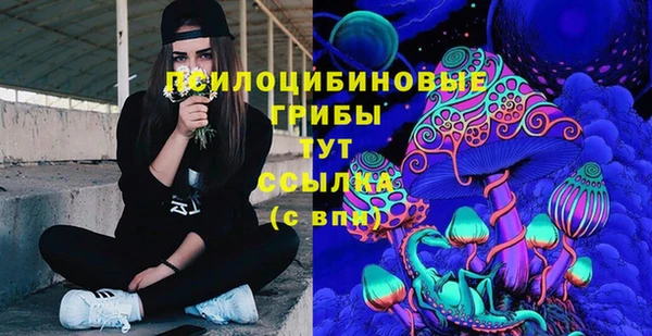 стафф Абаза
