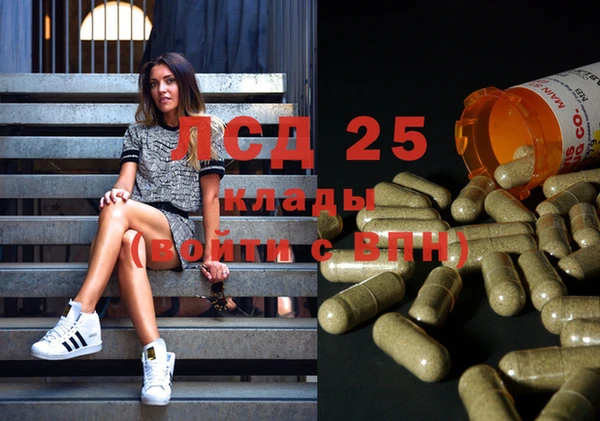 ГАЛЛЮЦИНОГЕННЫЕ ГРИБЫ Абдулино