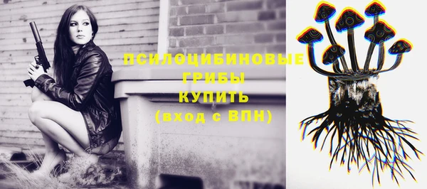 ГАЛЛЮЦИНОГЕННЫЕ ГРИБЫ Абдулино