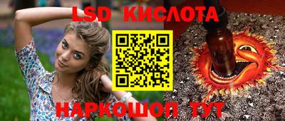 индика Жуковский