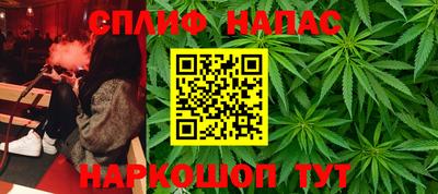 прущие грибы Заволжье