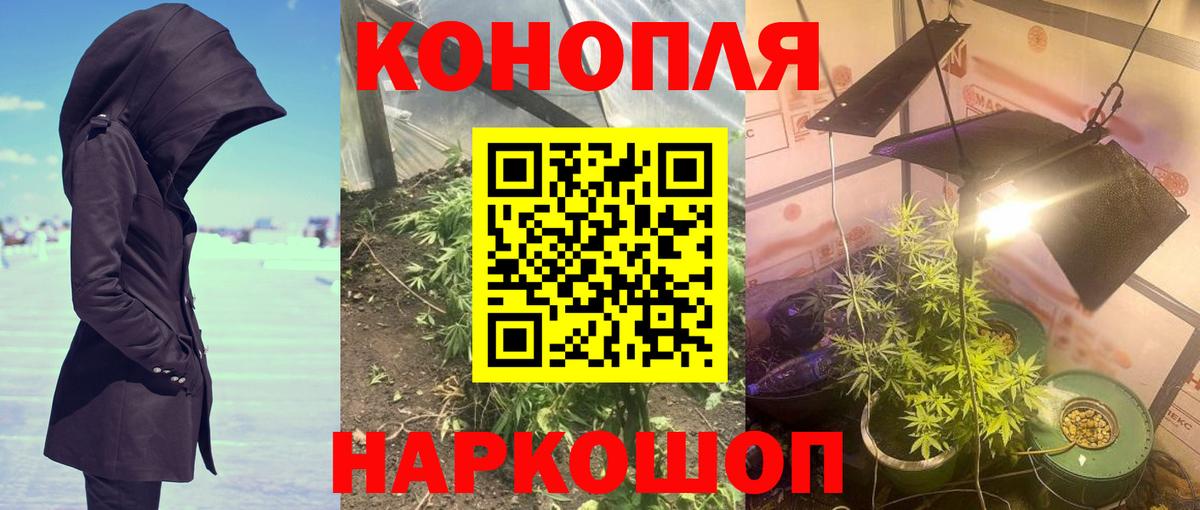 Бошки Шишки конопля Лысьва